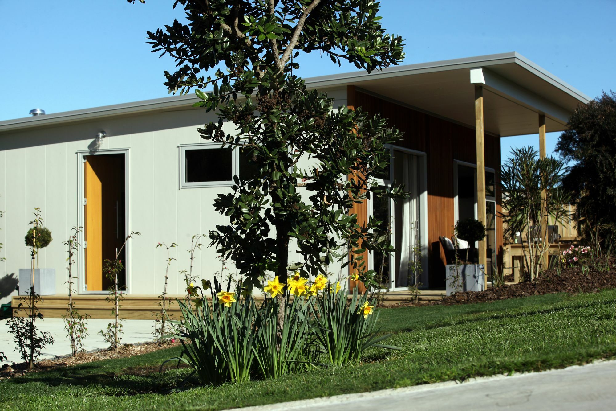 Aviator Villa New Plymouth Eksteriør billede
